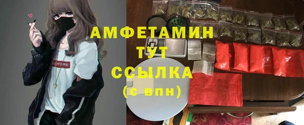 индика Алексеевка