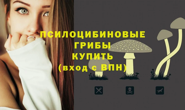 герыч Алзамай