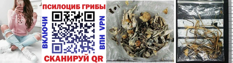 Купить закладки  Балабаново  Галлюциногенные грибы Cubensis 